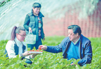 　付华廷（右）正在与采摘草莓的城里游客交谈。