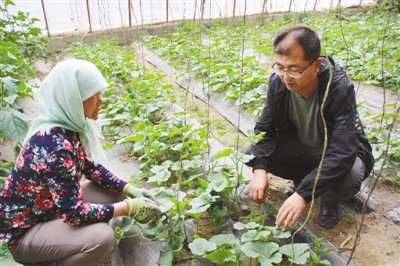 　　王生兵（右）在温室大棚内向农户了解农作物生长情况。资料照片