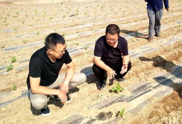 范瀚理(左一)到田间地头查看农作物生长情况。