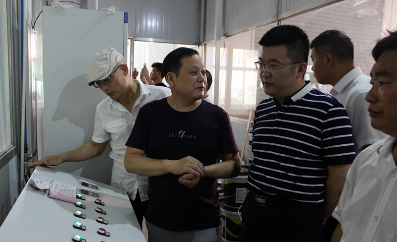 睢宁县沙集镇党委书记杨帆调研