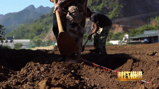 文中提及的土豆学名为马铃薯