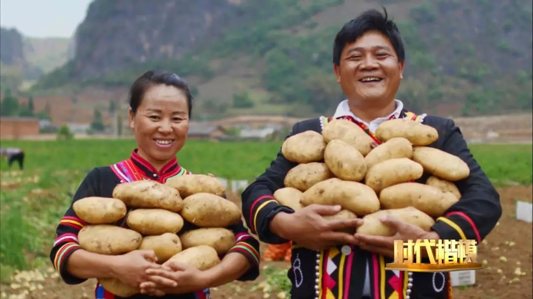 文中提及的土豆学名为马铃薯