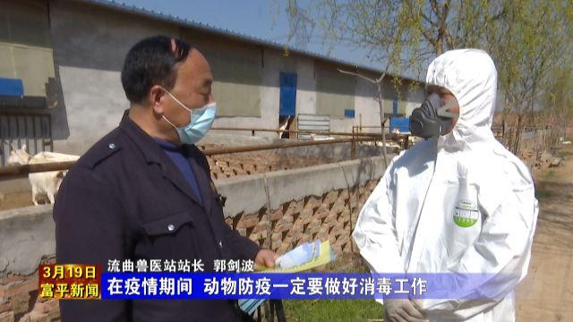 富平县动物疫病预防控制中心:筑牢畜牧防疫安全网