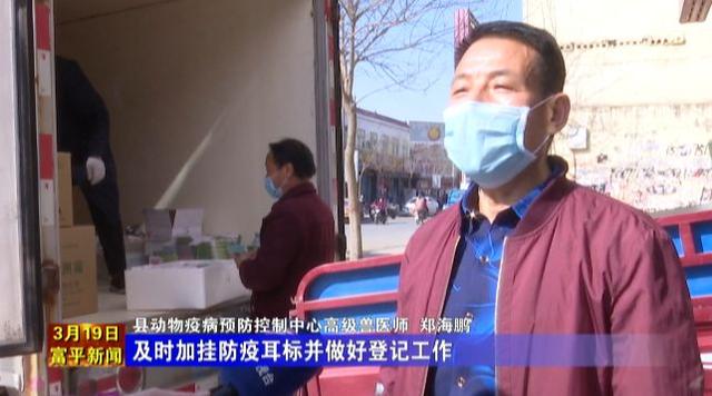 富平县动物疫病预防控制中心:筑牢畜牧防疫安全网